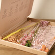 Spring Meadow Dried Flower Letterbox Bouquet Open in Packaging