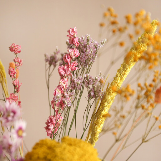 Close Up of Pink and Orange Flowers on Spring Meadow Large Dried Flower Letterbox Gift 