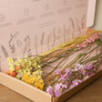 Spring Meadow Large Dried Flower Letterbox Gift Open in Packaging
