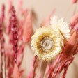 Close Up of Helichrysum Flowers in Love You Lots Valentine's Small Dried Flower Bouquet