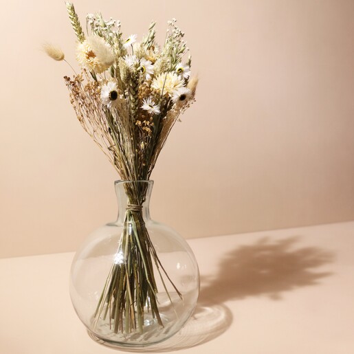 Cape white (natural) dried flowers, Length ± 40 cm, Available per bunch 