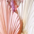 Close Up of Palm Spears in Pastel Bestie Dried Flower Bunch