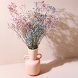 Rainbow Dried Gypsophila Bunch in a Pink Ceramic Vase