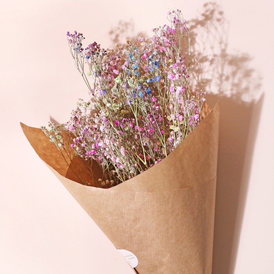 Rainbow Dried Gypsophila Bunch | Lisa Angel