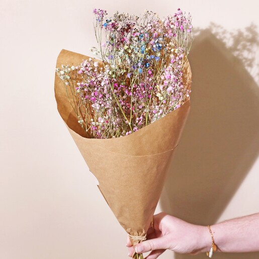 Rainbow Dried Gypsophila Bunch in Brown Paper Held by Model