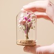 Model Holding Small Dried Flower Offcut Glass Dome
