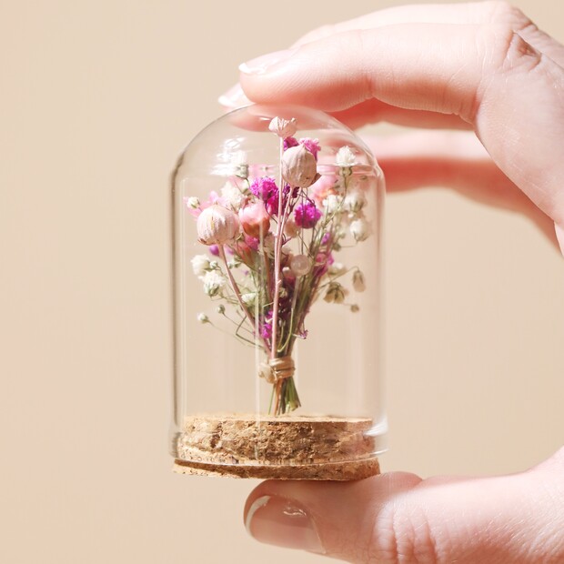 Mini Dried Flower Glass Dome Lisa Angel