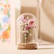 Small Dried Flower Offcut Glass Dome Displayed on Neutral Background