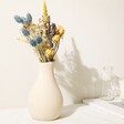 Yellow and Blue Dried Flower Posy in Cream Vase on White Background