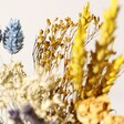 Close Up of Dried Flowers From Yellow and Blue Dried Flower Posy