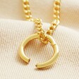 Large Halo Clasp Pendant Necklace in Gold with Open Charm