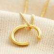 Small Halo Clasp Pendant Necklace in Gold with Halo Charm Open 