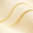 Chain on Small Halo Clasp Pendant Necklace in Gold 