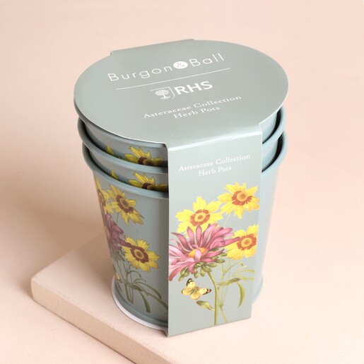 Packaged Burgon & Ball Set of 3 Floral Herb Pots