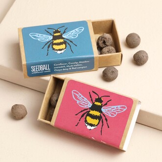 Seedball Assorted Bee Seed Ball Matchbox Gift