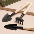 Tools from Gentlemen's Hardware Mini Garden Tools Set Out of Box