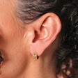 Close up of Ridged Huggie Hoop Earrings in Gold on model