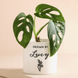 Personalised Name Mini Planter with Monstera on a Beige Background 