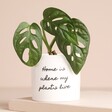 Personalised Message Mini Planter on a beige background.