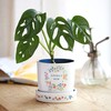 Floral Mum Planter and Tray in lifestyle shot against wooden counter