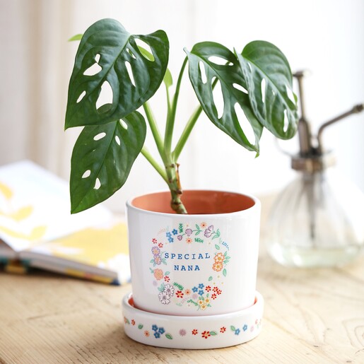 Floral Nana Planter and Tray in lifestyle shot with plant inside on top of wooden counter