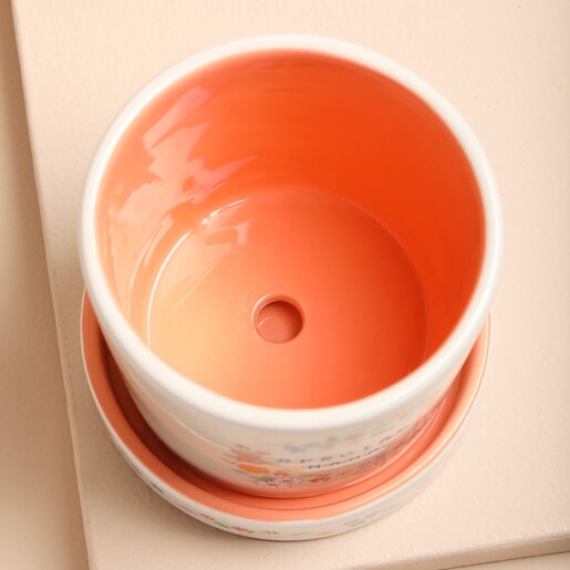 Inside of Floral Nana Planter and Tray