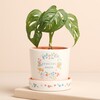 Floral Nana Planter and Tray with plant in it
