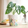 Floral Scalloped Edge Planter with Plant Inside in Lifestyle Shot