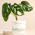 Norwich Mini Planter with Plant Inside on Beige Surface