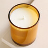 Above View of the Amber and Tonka Bean Jar Candle