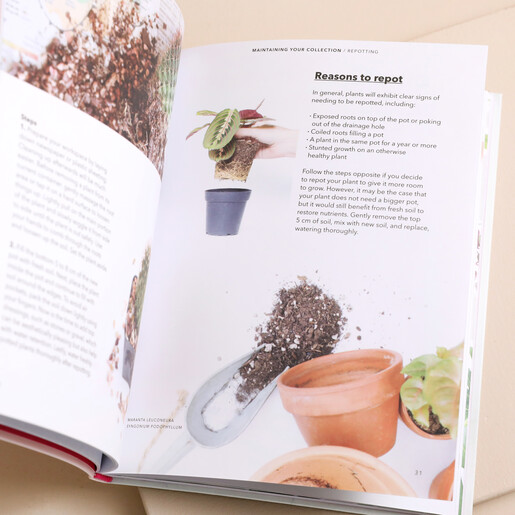 How to Raise a Plant and Make it Love You Back Book open against neutral coloured background