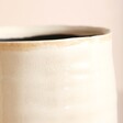 Close Up of Ivyline Ivory Medium Planter