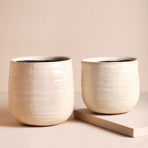 Ivyline Ivory Medium Planter