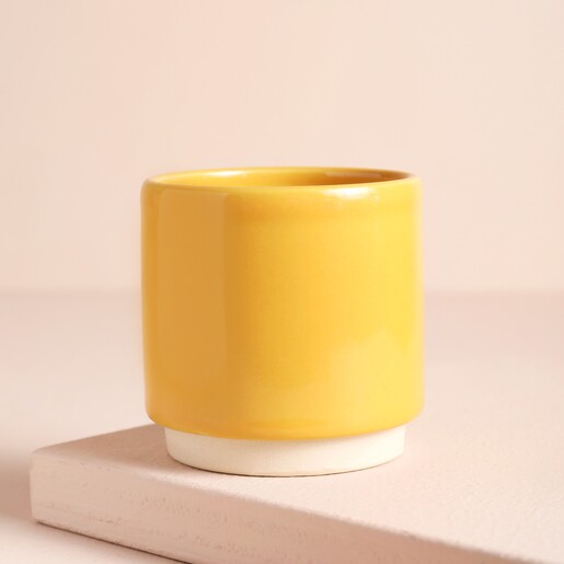 Ivyline Mini Mustard Planter with a beige background