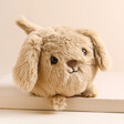 Jellycat Caboodle Puppy Soft Toy sat on top of raised beige surface