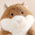 Close Up of Jellycat Gordy Guinea Pig Soft Toy