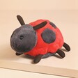 Jellycat Layla Ladybird Soft Toy on top of raised beige surface