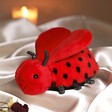 Jellycat Loulou Love Bug Soft Toy on silk backdrop with candle in background