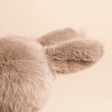 Close up of ears on Jellycat Messenger Bunny Soft Toy