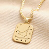 Back of Capricorn Crystal Square Zodiac Pendant Necklace in Gold