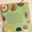 Blurb of Fungarium: Welcome to the Museum Book 