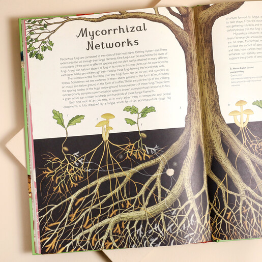 Inside of Fungarium: Welcome to the Museum Book