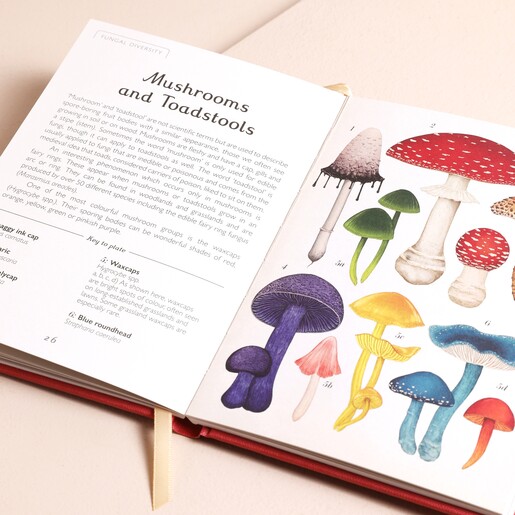 Open Book Inside Page Fungarium: A Mycologist's Guide to Mushrooms Book