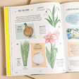 Interior of Grow: A First Guide to Plants Book