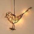 Battery Powered Indoor Hanging Robin Light Up Decoration Lit Up Against Wall