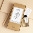 Norfolk Natural Living En Plein Air Reed Diffuser with diffuser out of packaging against gift box
