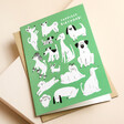 Ohh Deer Yappiest Dogs Green Birthday Card on top of beige coloured backdrop