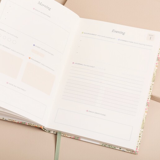 Papier Fairy Flies Wellness Journal open against neutral backdrop