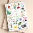 Close up of white notebook from Rifle Paper Co. Set of 3 Curio Notebooks
