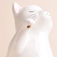 Close Up of Sass & Belle Cat Watering Can Spout